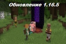 Обновление 1.16.5